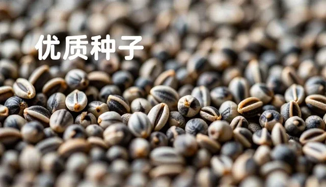 农资选型中常见问题及应对策略